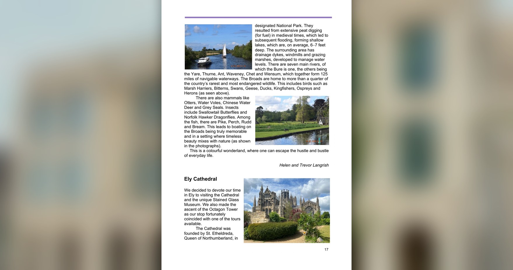 newsletter-73-19-banner-page-19.jpg